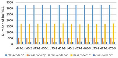 Expression profile of long non-coding RNA in inner Mongolian cashmere goat with putative roles in hair follicles development